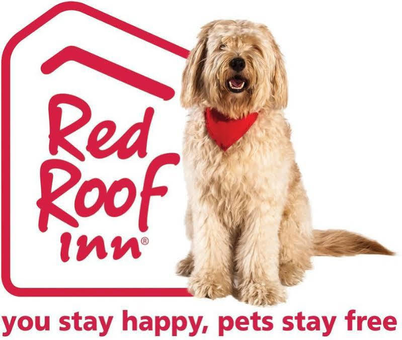 Red Roof Inn Plus+ Columbus-Ohio State University Osu Kültér fotó